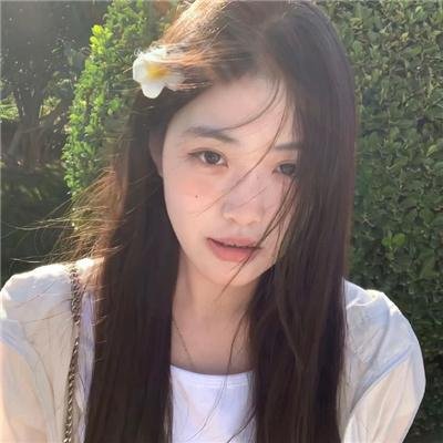 爱情动物
